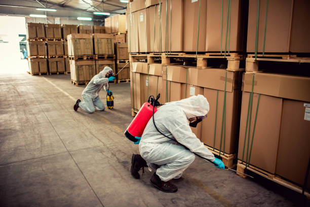 Best Exterminator Services  in Manchester, MI