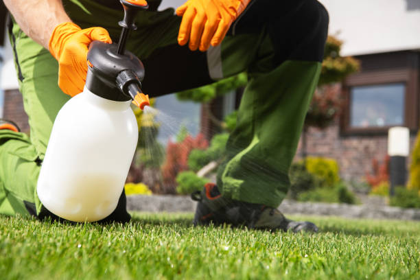 Best Bed Bug Extermination  in Manchester, MI