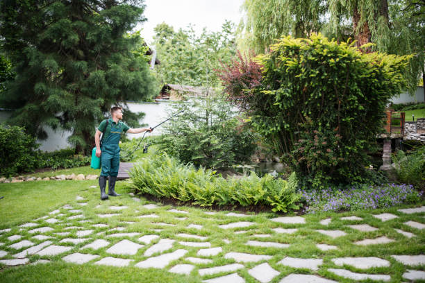 Best Best Pest Control Companies  in Manchester, MI