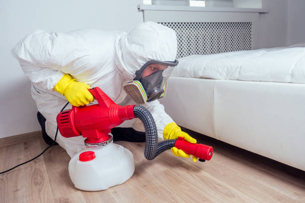 Best Affordable Pest Control Services  in Manchester, MI