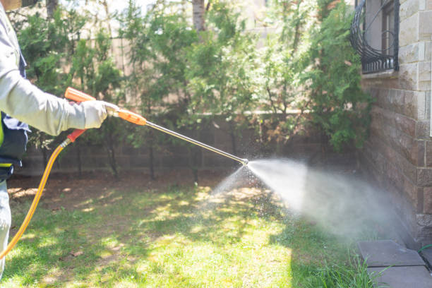 Bird Control in Manchester, MI