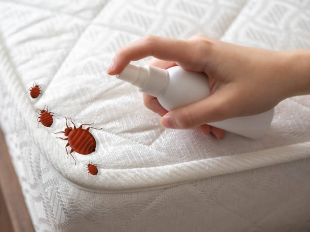 Best Pest Prevention Services  in Manchester, MI