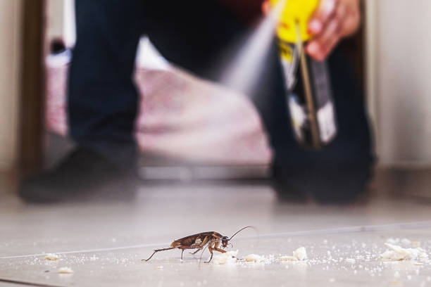 Best Wasp Removal Services  in Manchester, MI