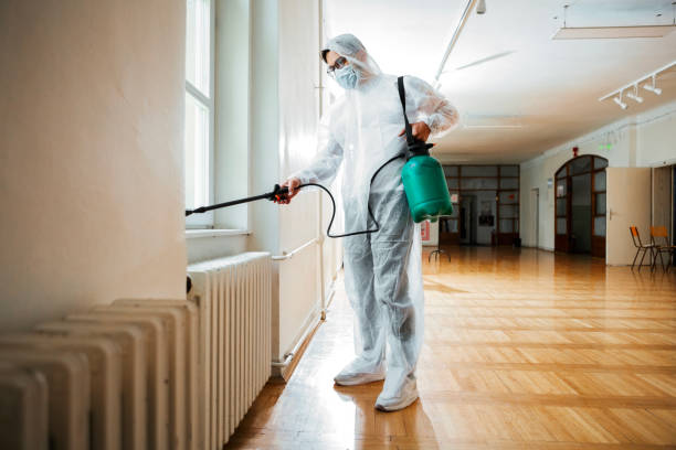 Best Ant Control Services  in Manchester, MI