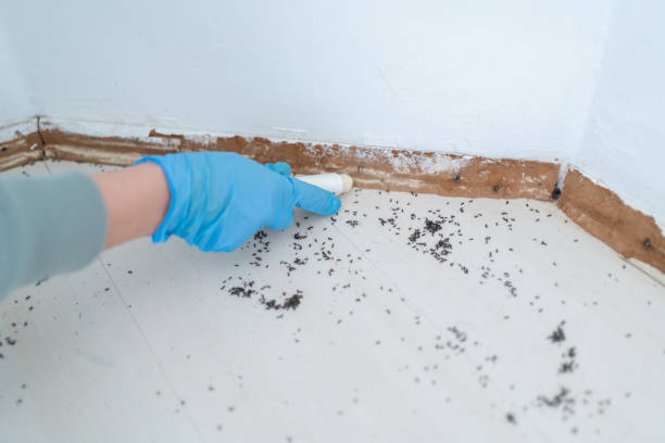 Pest Prevention Services in Manchester, MI