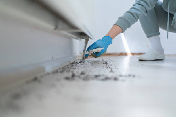 Best Pest Control Cost  in Manchester, MI