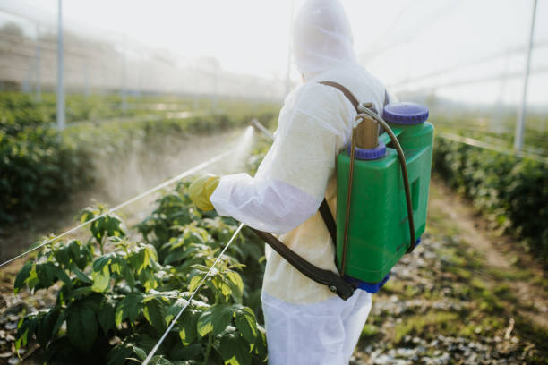 Best Cockroach Control Services  in Manchester, MI